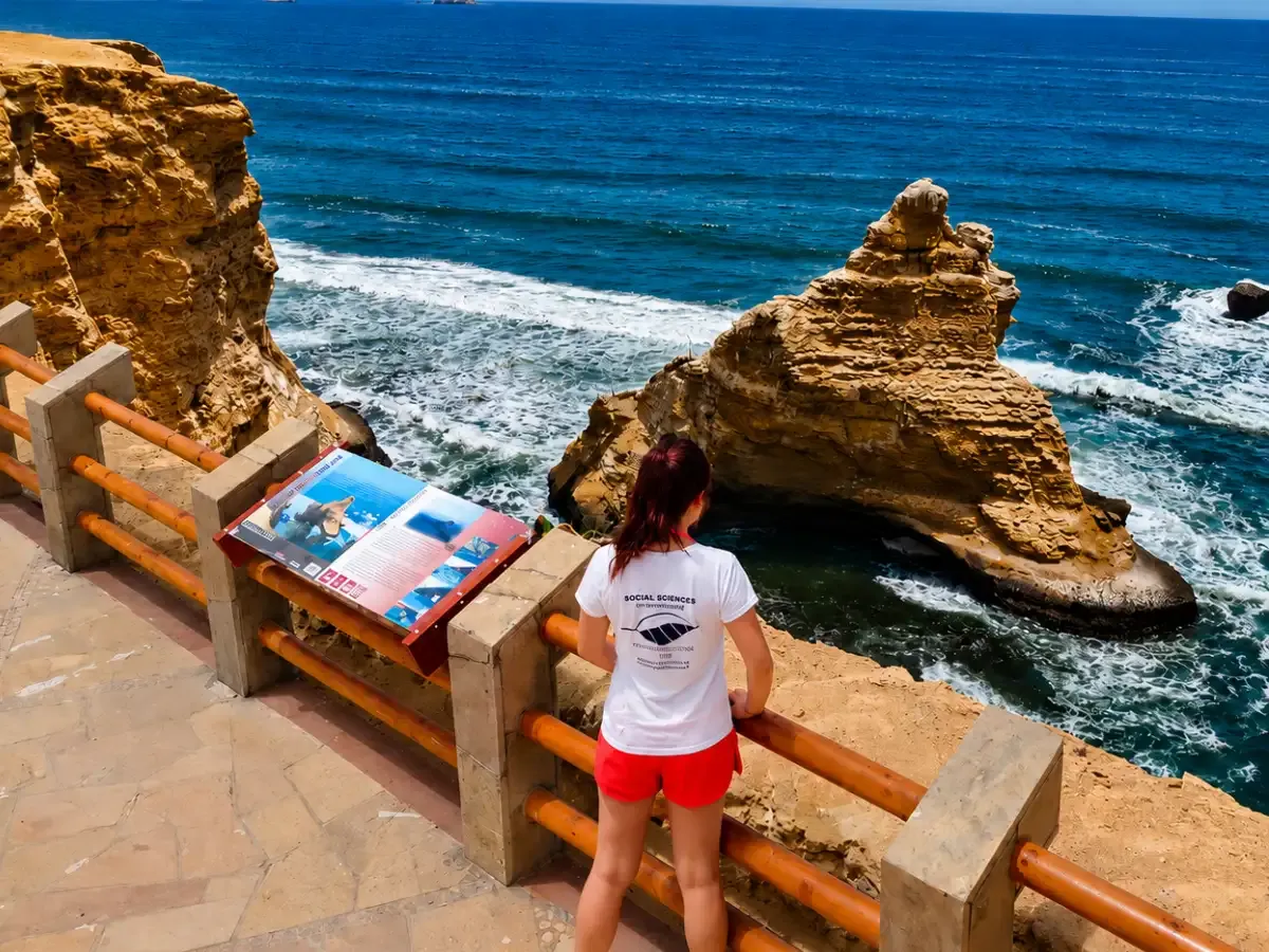 Ballestas Islands and Paracas Reserve Tour