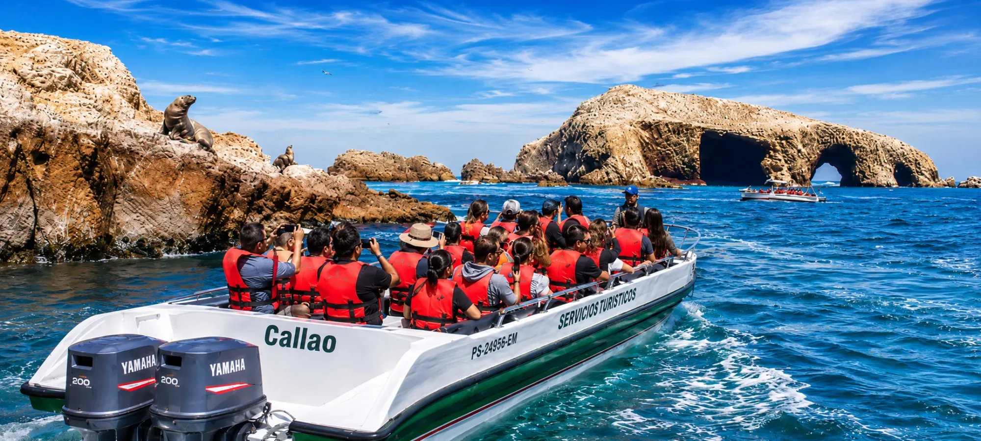 Tour Ilhas Ballestas Full Day saindo de Paracas