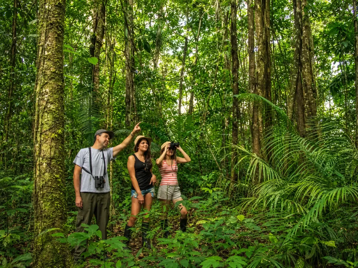 4 Day Tambopata Amazon Expedition Tour