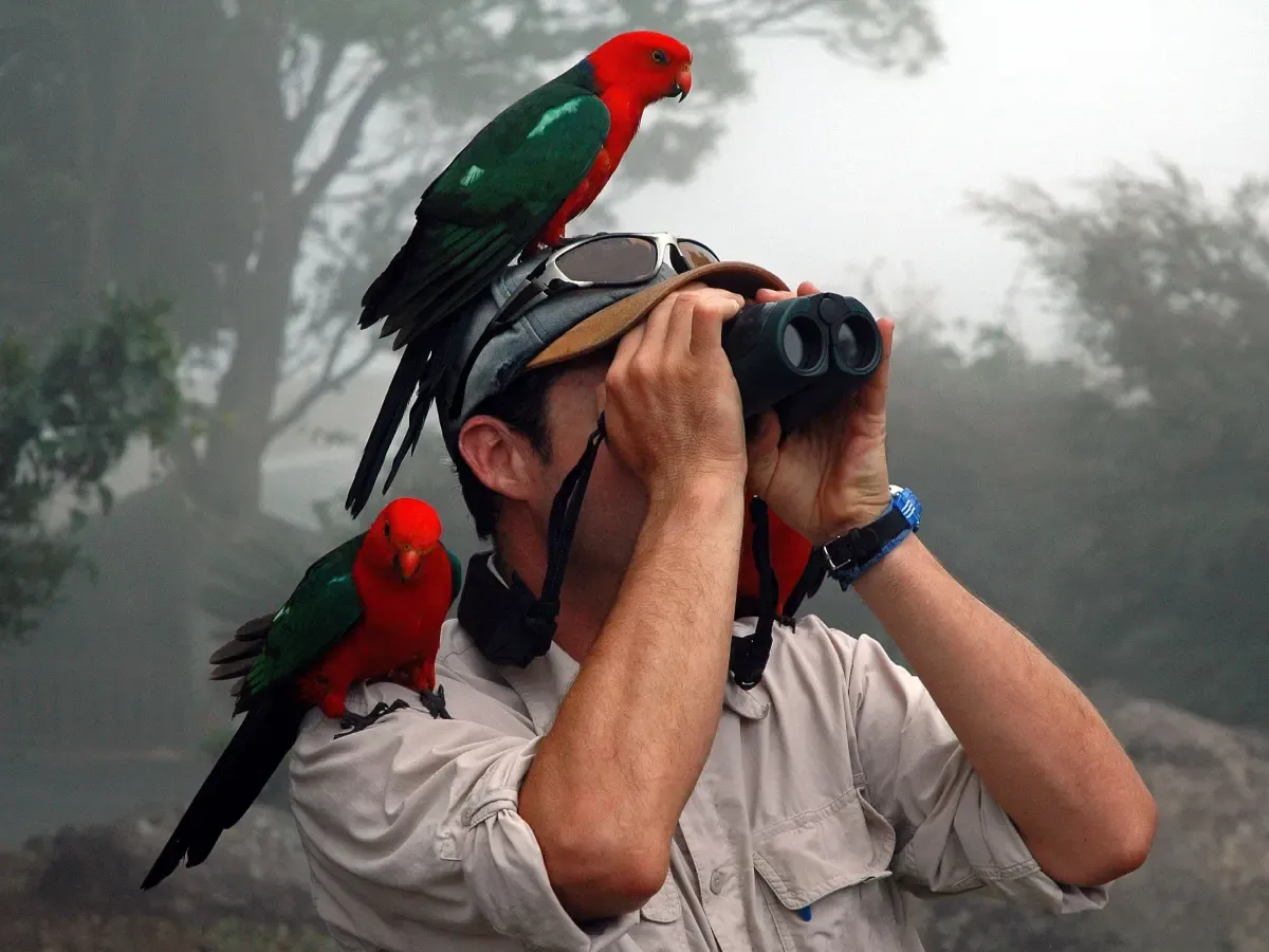 4 Day Birdwatching Tour in Iquitos
