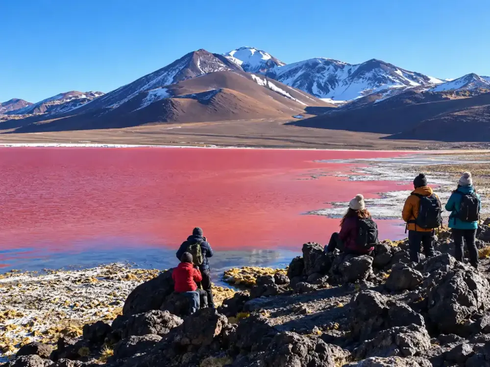 Altiplano boliviano.webp