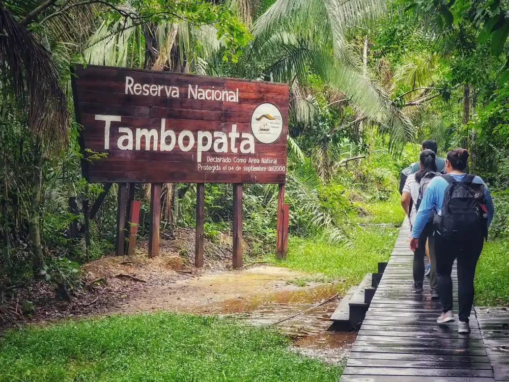 AmazonÃa peruana.webp