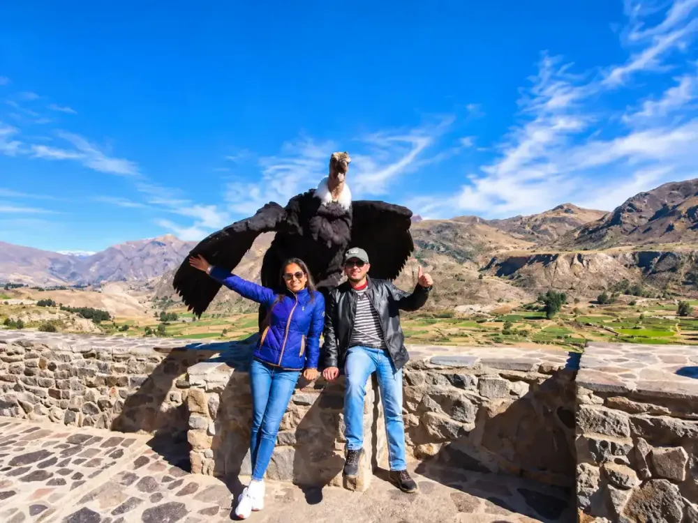 Pareja posa junto a un cóndor andino con alas abiertas en el Valle del Colca