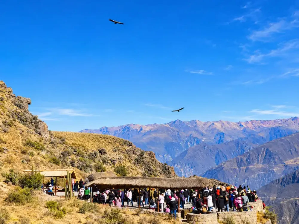Multitud en el Mirador Cruz del Cóndor observa aves sobre el Cañón del Colca