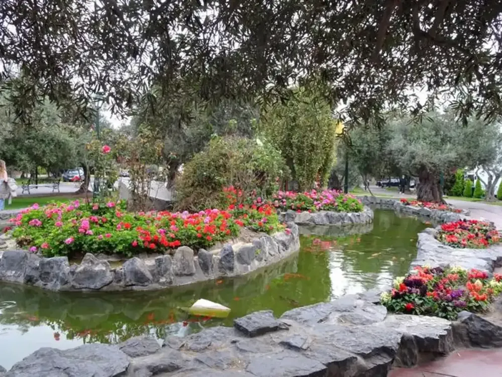 Parque El Olivar.webp