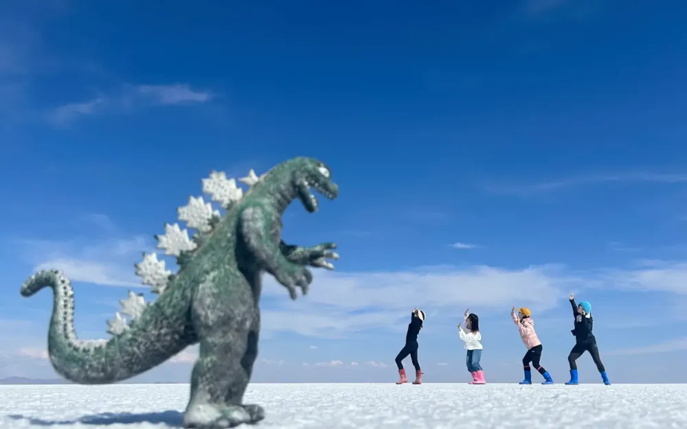 Salar de Uyuni Bolivia.webp