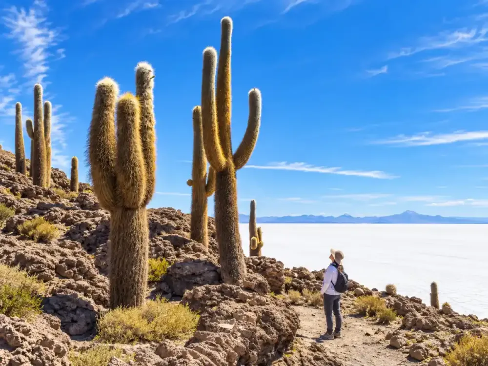 cactus Isla Incahuasi.webp