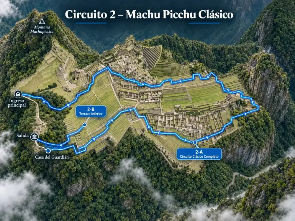 circuito 2.webp