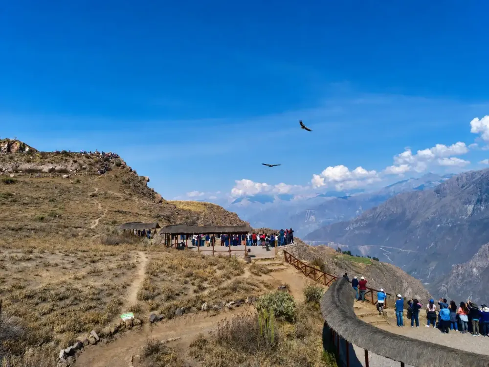 colca canyon.webp