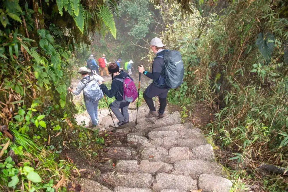 ejercicios para Camino Inca.webp