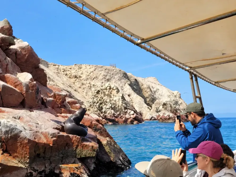 Turistas fotografiando un lobo marino sobre las rocas durante un tour en lancha por las Islas Ballestas, Paracas, Perú.