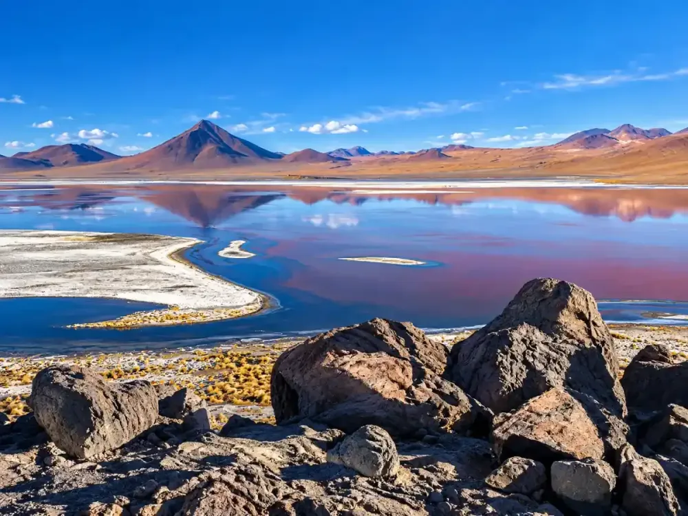 lagunas altiplánicas Bolivia.webp