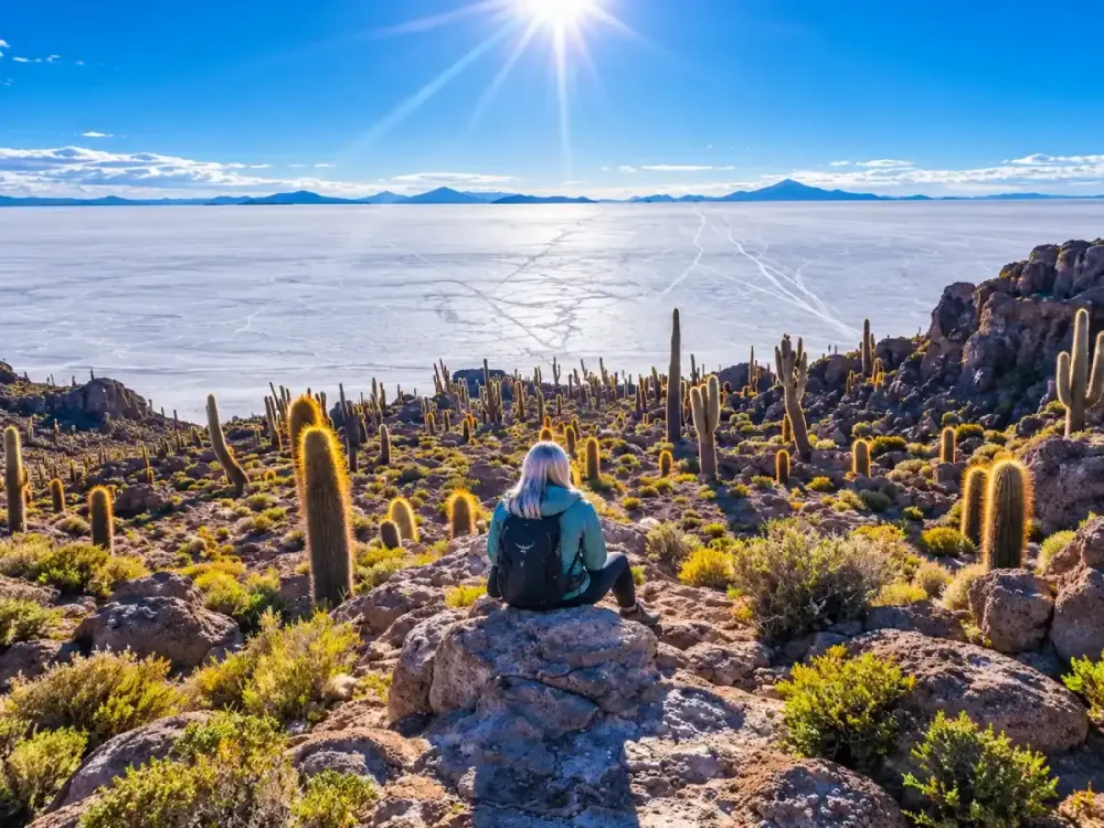 mirador Isla Incahuasi.webp