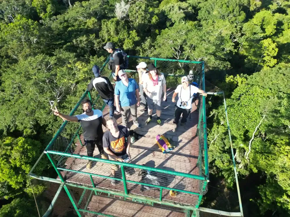 tour selva.webp
