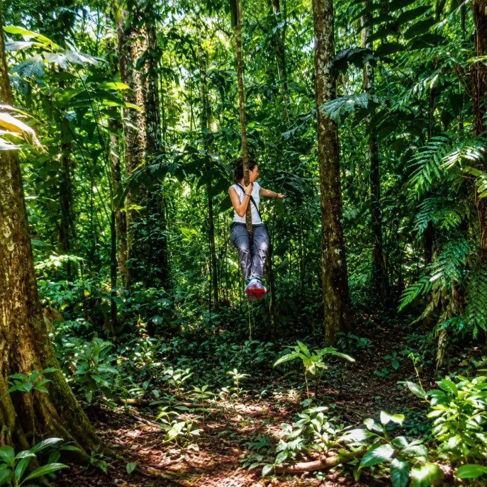 tour selva bolivia.webp