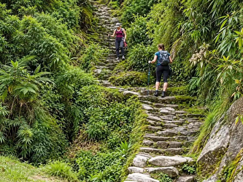 trekking Cusco.webp