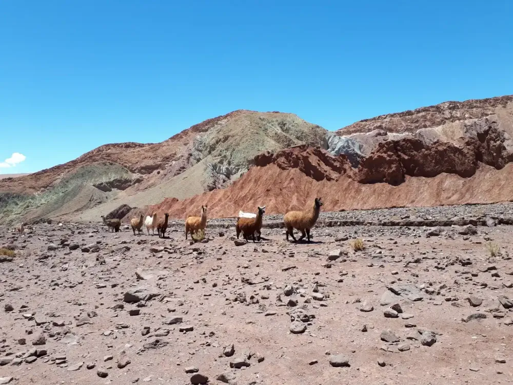 valle arcoiris chile.webp