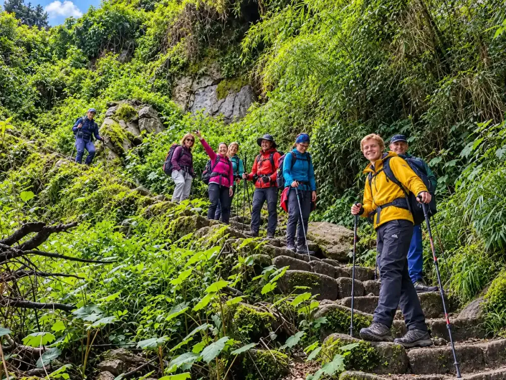 vegetacion camino inca.webp